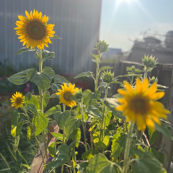 Meet your Posher, Tara - Picture 1 of 1